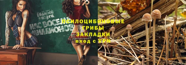 амф Алексин