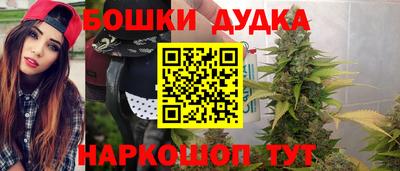 2c-b Кингисепп