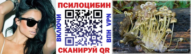 нарко площадка состав  даркнет сайт  Лангепас  Псилоцибиновые грибы MAGIC MUSHROOMS 