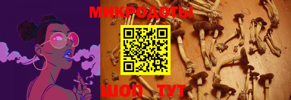 Лангепас  где купить   Вход с VPN  Псилоцибиновые грибы Psilocybine cubensis 